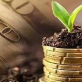 重磅政策连发 资金“组合拳”加力稳投资