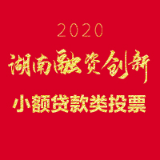 2020湖南融资创新考评活动——小额贷款类投票