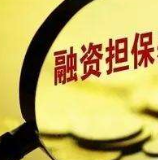创新再担保专项“扶贫”产品 湖南省融资担保集团为脱贫攻坚贡献力量