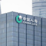 中国人寿浙江省分公司扶贫干部姚周钦护航生态新农村