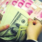 中国外汇储备规模升至31646亿美元