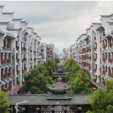 以“新”之名 助“兴”之力 新化农发行争做服务乡村振兴排头兵