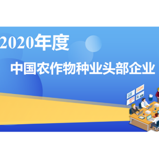 2020年度主要农作物前十大品种名单公布 隆平高科杂交水稻品种独占七席