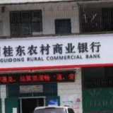 桂东农商银行多措并举助力民营企业发展