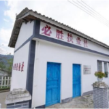 从田间到舌尖，一项扶业计划开启助力乡村振兴新篇章