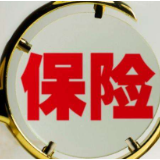 专访：中国有望成为全球最大保险市场