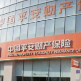 平安产险无偿提供20万份疫情防控专属保险 服务“就地过年”