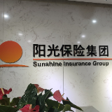阳光财险助力农民工满“薪”欢喜过大年