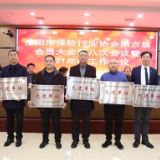 太平人寿岳阳中支荣获“2020年度金融支持地方经济发展先进单位”