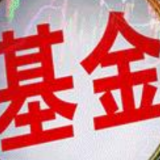 一季度公募新发基金规模破万亿 债基热销股基发行遇冷