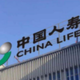 服务民生 巾帼建功——中国人寿湖南省分公司开展党史学习教育 