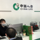 国寿重剑锋更劲：奔跑中的巨象