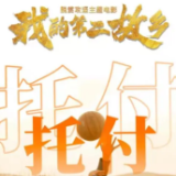 周末与家人一起笑中带泪看场电影吧！