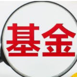 基金市场“跌宕起伏” 钱袋子怎么理？