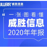 一图读懂丨威胜信息2020年年报