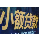 小贷公司出路在哪？来自多位小额贷款公司经营者的调查
