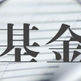 年内基金清盘数量规模大增 超2800只产品成“迷你基”