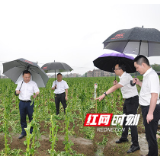 汛情来袭 人保财险湖南省分公司多举措防汛救灾