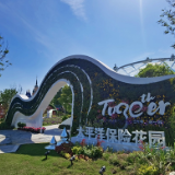 徜徉蓝色花海 体验温暖服务 中国太保精彩绽放第十届中国花博会