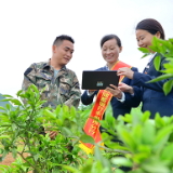 邮储银行湖南省分行谱写乡村振兴新篇章