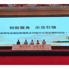 湖南农发行： 二十条硬核措施支持14个乡村振兴示范区