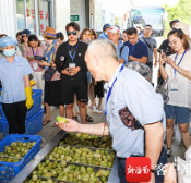 50多家媒体齐聚南海浪尖上的小城 领略海南自贸港的魅力