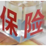 突出保险主业 服务邵阳发展——“十三五”时期邵阳市保险业发展成果综述