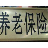国民养老保险公司呼之欲出 理财子公司成“主力军”