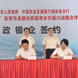 湖南农发行：把乡村振兴融入“三高四新” 让农村成为广阔天地