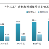 纵横正有凌云志 武陵山中竞风流 “十三五”时期湘西州保险业发展成果综述