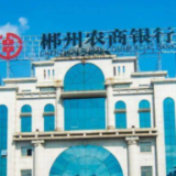 郴州农商银行：金融活水助力瑶族乡庆“丰收”