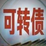 百元以下的可转债已难觅踪迹 2022年可转债市场热度不减