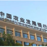 农发行宁乡市支行开展“两节”期间防范非法集资宣传教育活动