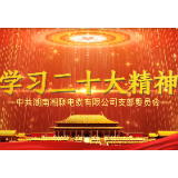湘联心向党 奋发朝前闯丨湘联电缆掀起学习党的二十大精神热潮！