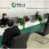 助力“双碳”目标落地 中国人寿寿险公司做了这些事