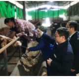 新晃农商银行成功发放全省农信系统首笔黄牛活体抵押贷款
