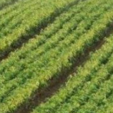 截至2021年末 银行业涉农贷款余额43.21万亿元