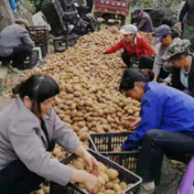 农发行湖南省分行：消费帮扶暖人心 产业兴村谋长远 