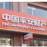 心怀“国之大者” 保险如何书写“示范答卷”？