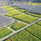农发行湖南省分行：在三湘大地书写政策性金融服务乡村振兴新华章