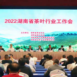 湖南茶产业综合产值达1012亿元 科技创新成果不断增强
