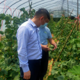 送政策、送优惠、送服务 农发行邵阳市分行加速助推复工复产