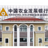 农发行衡阳市分行：10亿元夏粮收购资金“等粮来”