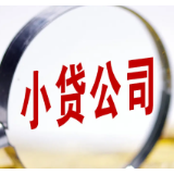 多地对小贷公司整治力度不减:成都9家被责令停业整顿