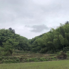 农发行怀化市分行精准履职 全力服务支持农业农村发展