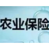 农业保险：护好“菜篮子”“米袋子”