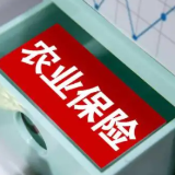 科技助力农业保险护好“米袋子”