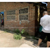 中华财险沅江支公司扎实推进育肥猪承保工作