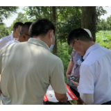 中华保险沅江支公司优先试点“生物特征AI猪脸识别技术”