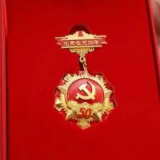 进出口银行湖南省分行党委举行“光荣在党50年”纪念章颁发仪式